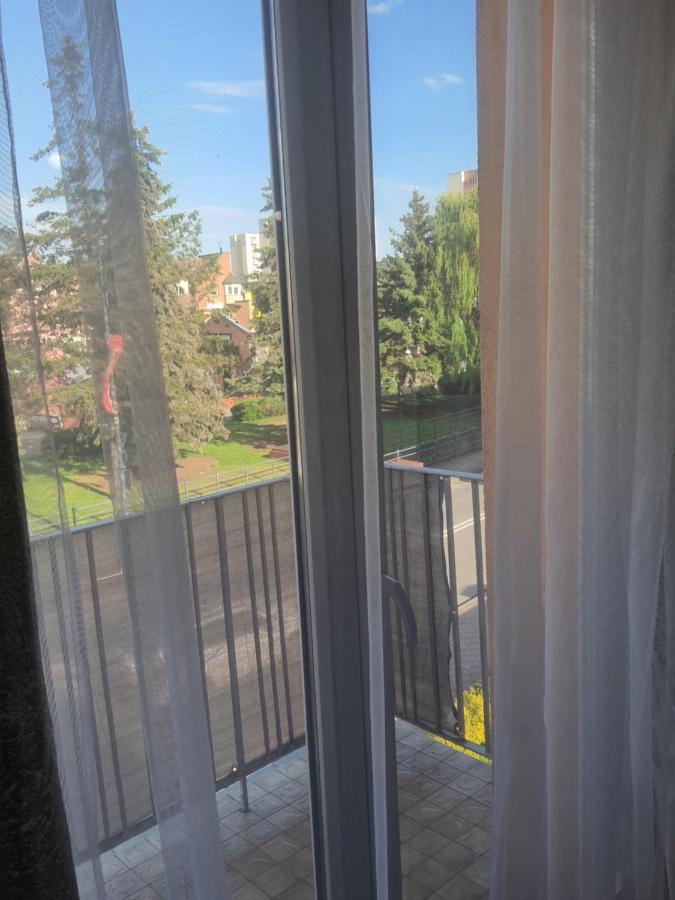 Ferienwohnung Apartament Nad Fontanna Malbork Exterior foto